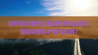 如何规划重庆出发至色季拉山的大型旅游团队行程与攻略？