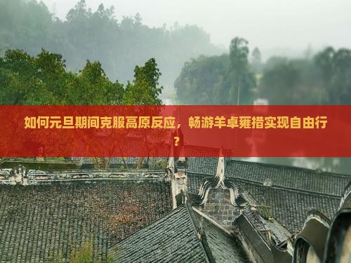 如何元旦期间克服高原反应，畅游羊卓雍措实现自由行？