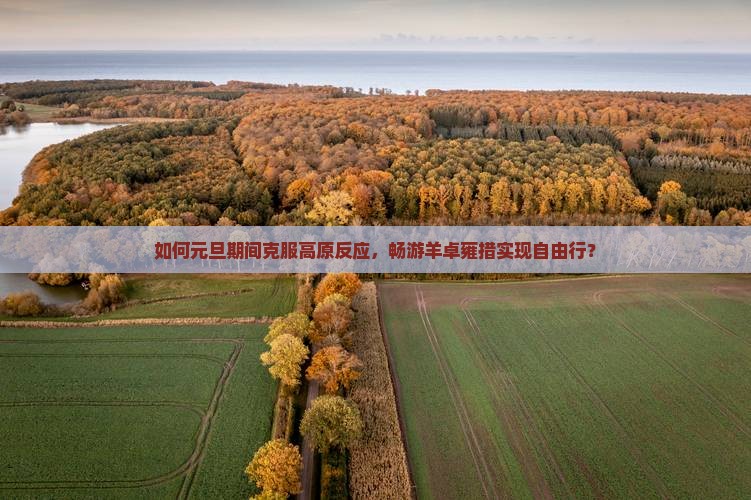 如何元旦期间克服高原反应，畅游羊卓雍措实现自由行？