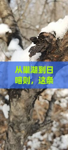 从巢湖到日喀则，这条路会带我去哪儿？