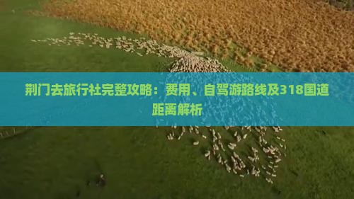 荆门去旅行社完整攻略：费用、自驾游路线及318国道距离解析