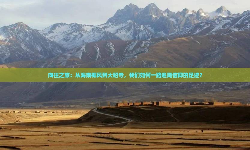 向往之旅：从海南椰风到大昭寺，我们如何一路追随信仰的足迹？