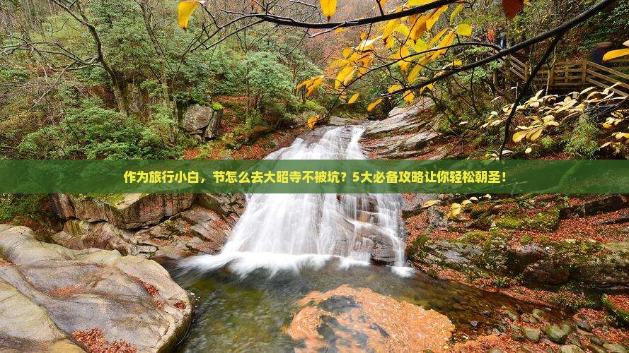 作为旅行小白,节怎么去大昭寺不被坑?5大必备攻略让你轻松朝圣! 作为旅行小白,节怎么去大昭寺不被坑?5大必备攻略让你轻松朝圣!