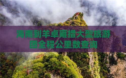 海南到羊卓雍措大型旅游团全程公里数查询