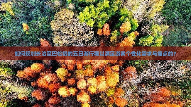 如何规划长治至巴松措的五日游行程以满足游客个性化需求与痛点的？