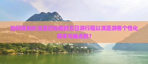 如何规划长治至巴松措的五日游行程以满足游客个性化需求与痛点的？