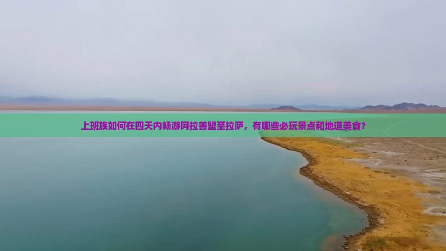 上班族如何在四天内畅游阿拉善盟至拉萨，有哪些必玩景点和地道美食？