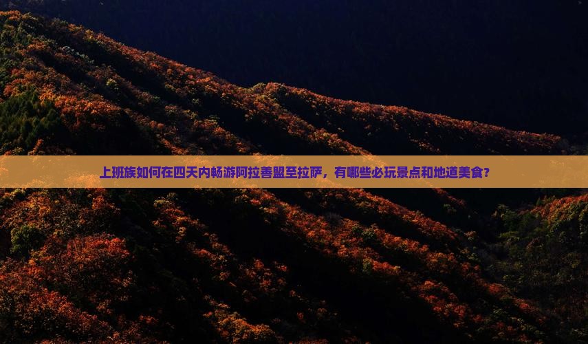 上班族如何在四天内畅游阿拉善盟至拉萨，有哪些必玩景点和地道美食？