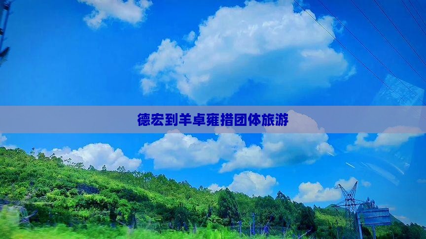 德宏到羊卓雍措团体旅游
