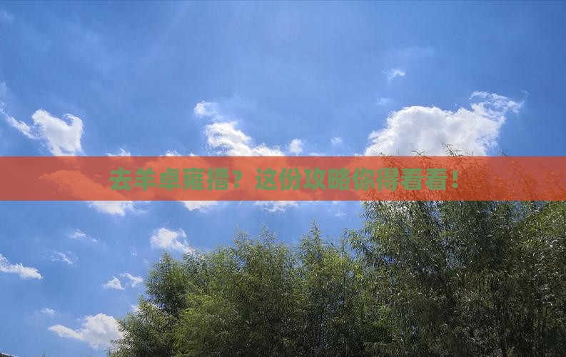 去羊卓雍措？这份攻略你得看看！