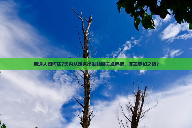 普通人如何在7天内从茂名出发畅游羊卓雍措，实现梦幻之旅？