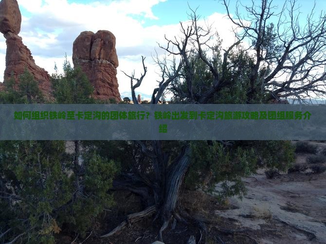 如何组织铁岭至卡定沟的团体旅行？铁岭出发到卡定沟旅游攻略及团组服务介绍