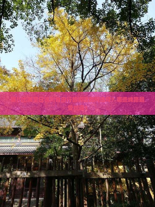 银川出发至日喀则自由行旅游团如何选择？哪些线路最受欢迎？