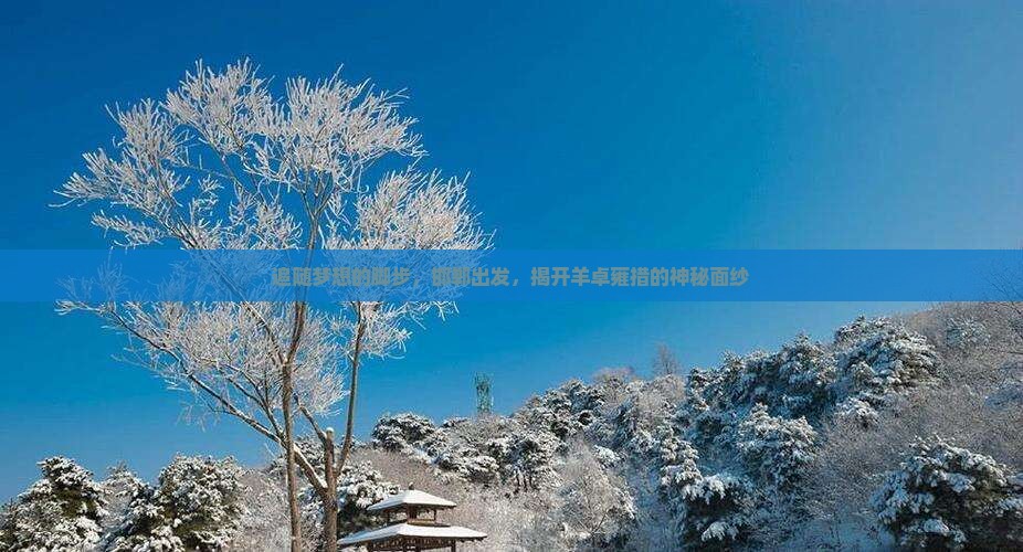 追随梦想的脚步，邯郸出发，揭开羊卓雍措的神秘面纱