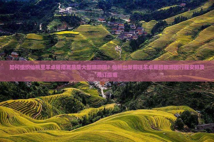 如何组织仙桃至羊卓雍措高品质大型旅游团？仙桃出发前往羊卓雍措旅游团行程安排及预订指南