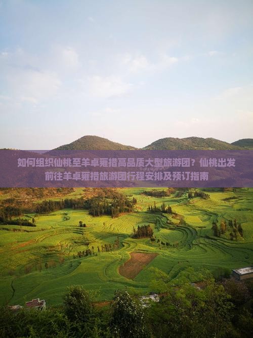 如何组织仙桃至羊卓雍措高品质大型旅游团？仙桃出发前往羊卓雍措旅游团行程安排及预订指南