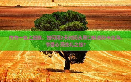 作为一名上班族，如何用2天时间从周口畅游到卡定沟，享受心灵洗礼之旅？