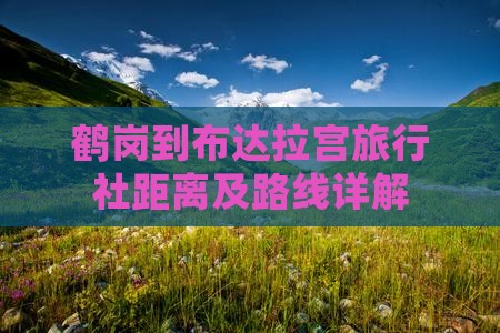 鹤岗到布达拉宫旅行社距离及路线详解
