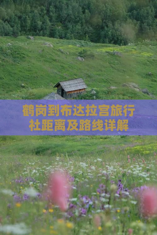 鹤岗到布达拉宫旅行社距离及路线详解