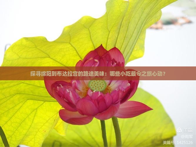 探寻绵阳到布达拉宫的路途美味：哪些小吃最令之旅心动？