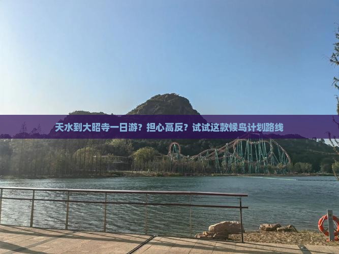 天水到大昭寺一日游？担心高反？试试这款候鸟计划路线