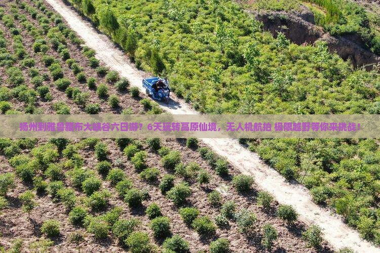 扬州到雅鲁藏布大峡谷六日游？6天玩转高原仙境，无人机航拍+极限越野等你来挑战！