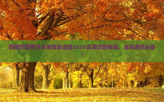 铜陵到西藏羊卓雍措自由团