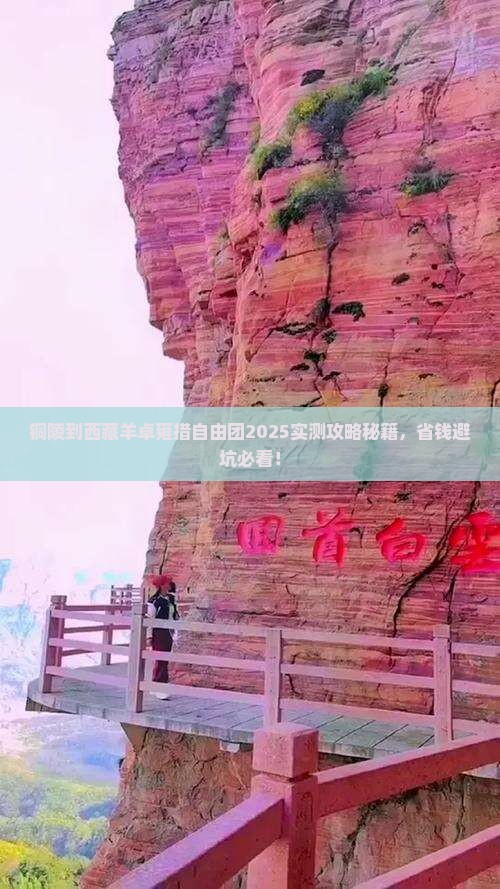 铜陵到西藏羊卓雍措自由团