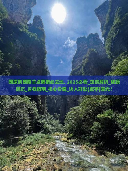 固原到西藏羊卓雍措必去地