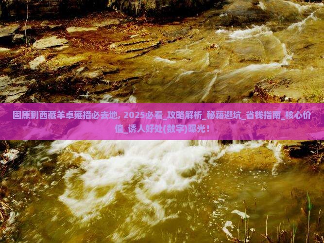 固原到西藏羊卓雍措必去地