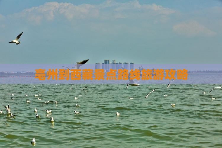 亳州到西藏景点