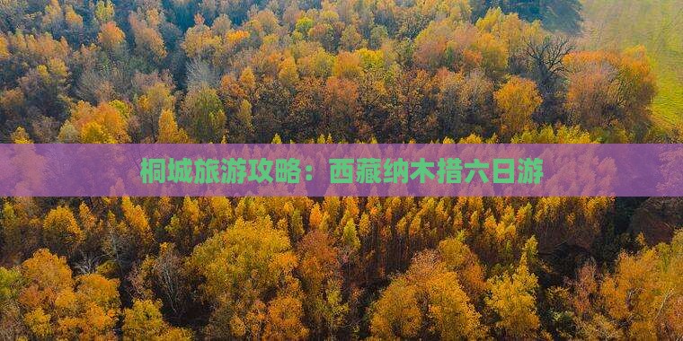桐城到西藏纳木措六日游