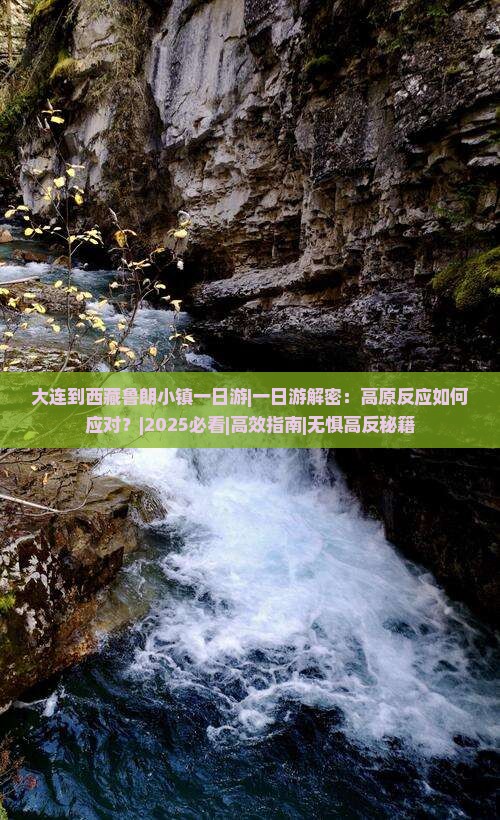 大连到西藏鲁朗小镇一日