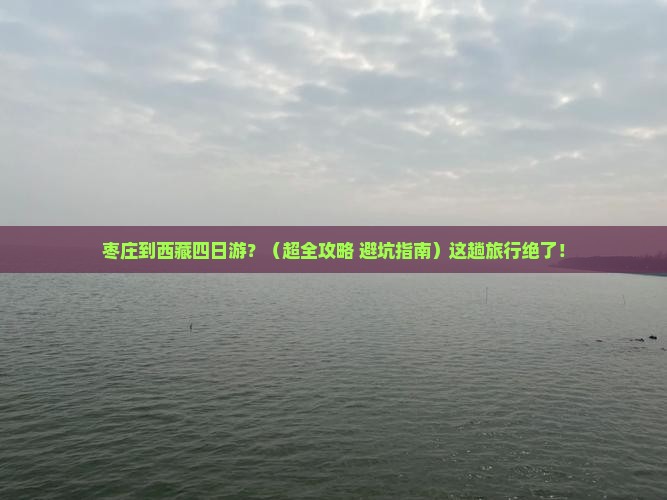 枣庄去西藏四日游