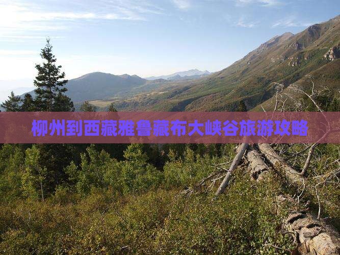 柳州到西藏雅鲁藏布大峡谷个人游