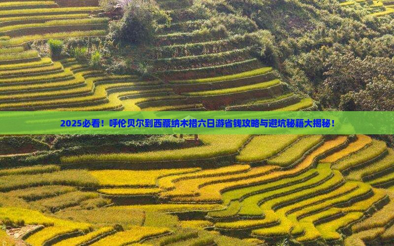 呼伦贝尔去西藏纳木措六日游