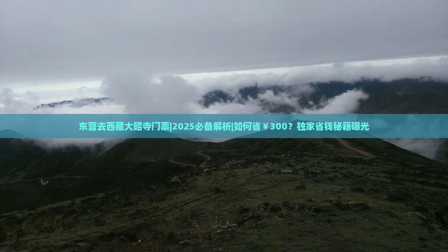 东营去西藏大昭寺门票