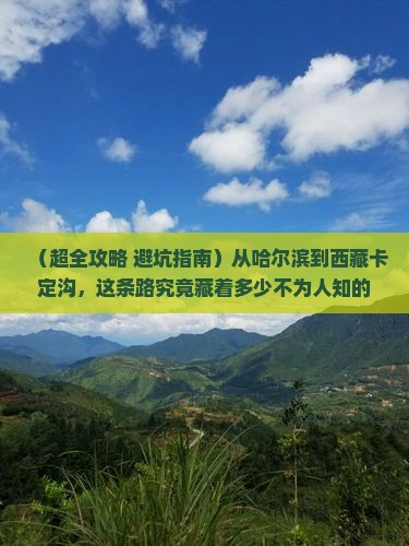 哈尔滨到西藏卡定沟自由团