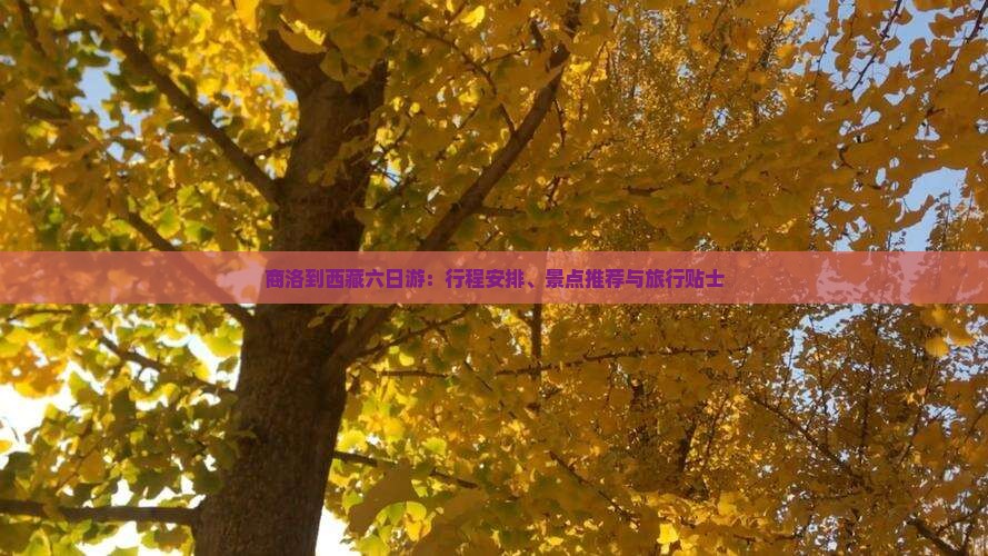 商洛到西藏六日游