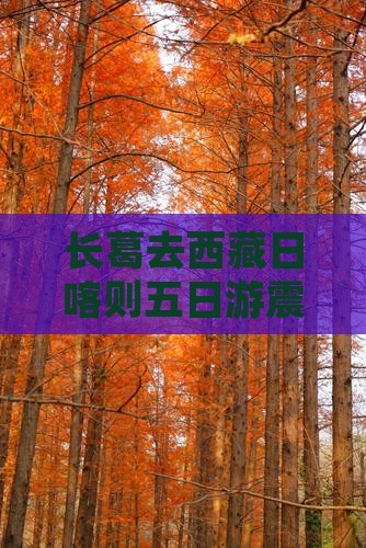 长葛去西藏日喀则五日游