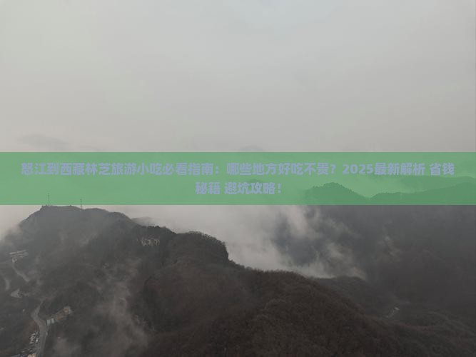 怒江到西藏林芝旅游小吃