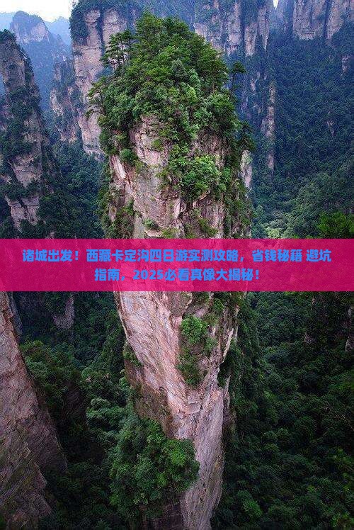 诸城去西藏卡定沟四日游