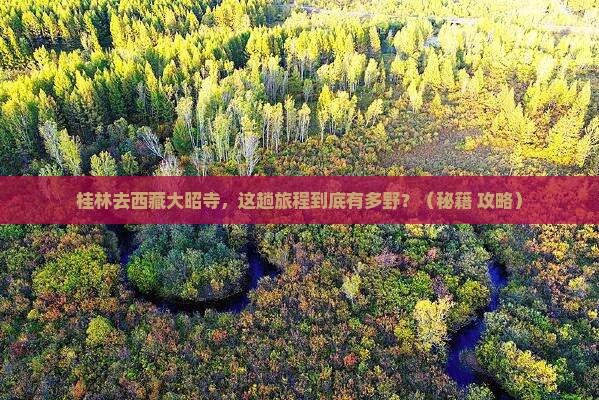 桂林去西藏大昭寺必去地