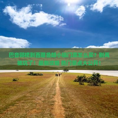 巴音郭楞到西藏鲁朗小镇门票