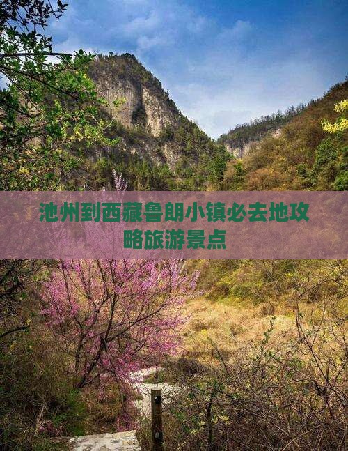 池州到西藏鲁朗小镇必去地