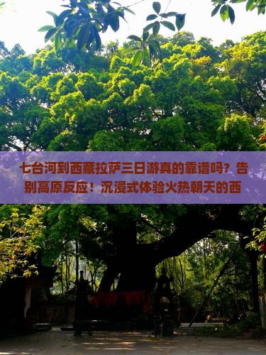 七台河到西藏拉萨三日游