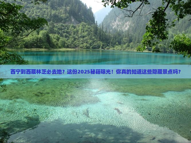 西宁到西藏林芝必去地