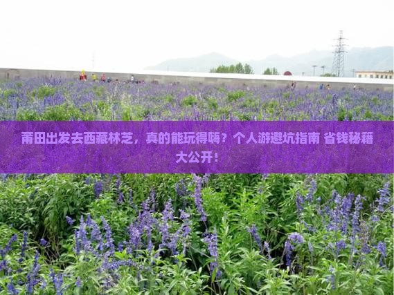 莆田到西藏林芝个人游 莆田到西藏林芝个人游