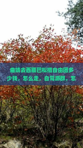 曲靖去西藏巴松措自由团