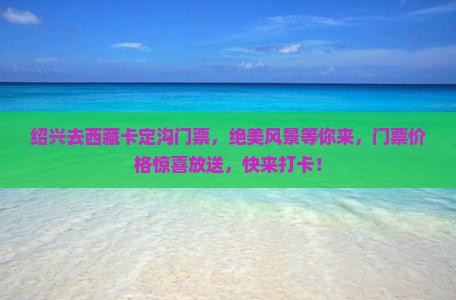 绍兴去西藏卡定沟门票